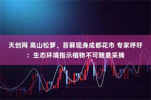 天创网 高山松萝、苔藓现身成都花市 专家呼吁：生态环境指示植物不可随意采摘