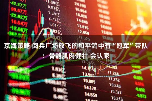 京海策略 阅兵广场放飞的和平鸽中有“冠军”带队：骨骼肌肉健壮 会认家