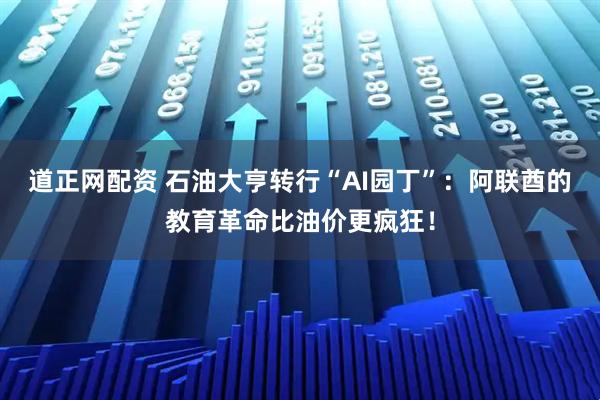 道正网配资 石油大亨转行“AI园丁”：阿联酋的教育革命比油价更疯狂！