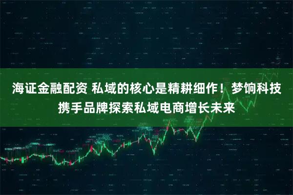 海证金融配资 私域的核心是精耕细作！梦饷科技携手品牌探索私域电商增长未来