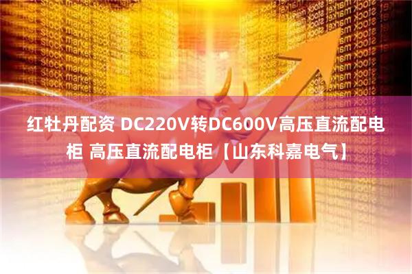 红牡丹配资 DC220V转DC600V高压直流配电柜 高压直流配电柜【山东科嘉电气】